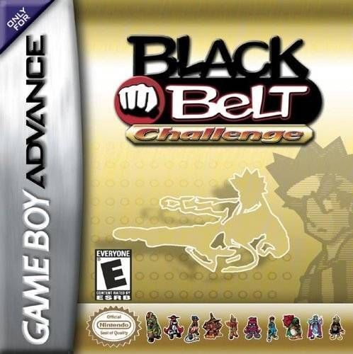 Rom juego Black Belt Challenge