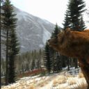 In The Hunt
