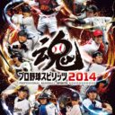 Pro Yakyuu Spirits 2014