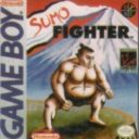 Sumo Fighter
