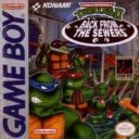 Teenage Mutant Ninja Turtles 2