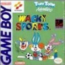 Tiny Toon Adventures 3