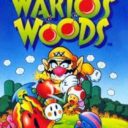 Wario Bros