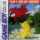 Black Bass – Lure Fishing