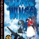 Aero Fighters 2