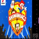 Animaniacs (EU)