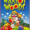 BS Wario (J)