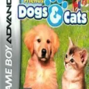 Best Friends – Dogs & Cats