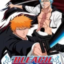Bleach – Heat the Soul 5 (Japan)