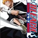 Bleach – Heat the Soul (Japan)