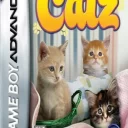 Catz