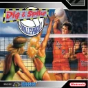 Dig & Spike Volleyball