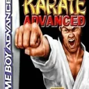 International Karate Plus (Venom) (E)