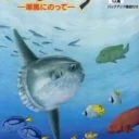 Nushi Tsuri 64 – Shiokaze Ni Notte (J)