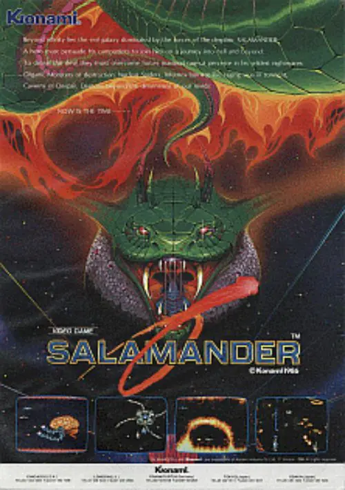 Salamander (version D)