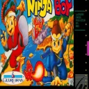 Super Ninja Boy
