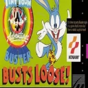Tiny Toons Adventures – Buster Busts Loose! (J)