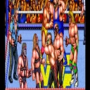 WWF WrestleFest