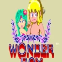 Wonder Boy (system 2)