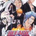 Bleach – Soul Carnival 2