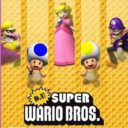 DU Super Wario Bros