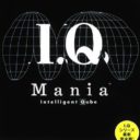 I.Q Mania