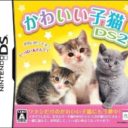 Kawaii Koneko DS 2