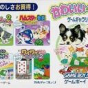 Kawaii Pet Game Gallery 2