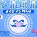Made In Wario