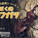 Our Breeding Series – My Ameba