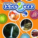 Pro Atlas Travel Guide
