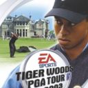 Tiger Woods PGA Tour 2003