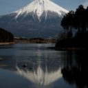 ZZZ_UNK_Chiyo No Fuji No Ooichou