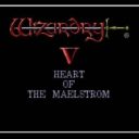 Wizardry 5