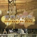 Yarudora Portable – Yukiwari No Hana